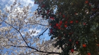 出勤しました😊