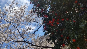 出勤しました😊