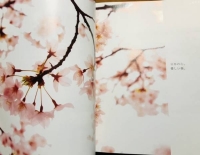 出勤致します(*^^*)