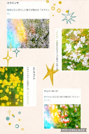 出勤予定