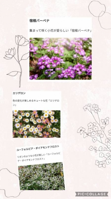 ポカポカ陽気💕🌷
