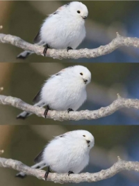 出勤しました😊
