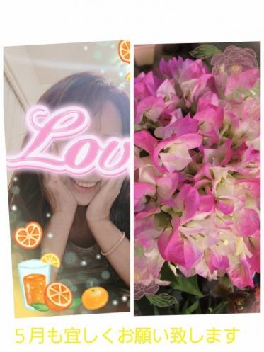 こんにちは(*^-^*)