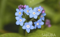 お待ちしております😌