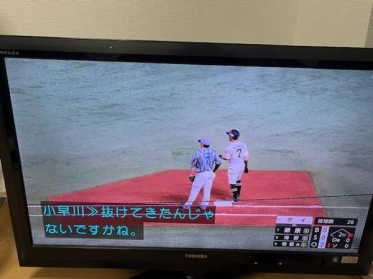おはようございます🕊️