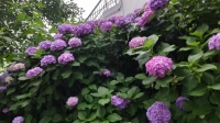 今日も暑かったですね