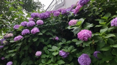 今日も暑かったですね