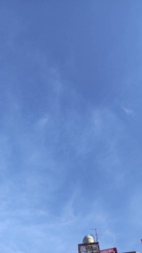夏至(げし)