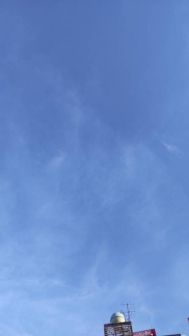 夏至(げし)