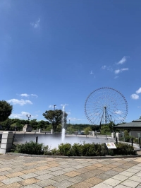 6月も残り僅かとなりました