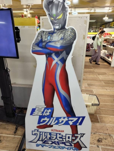 夏はウルサマ⁉️