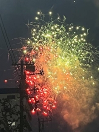 ちどり