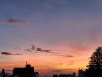 ともみ