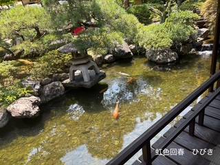 おはようございます☀