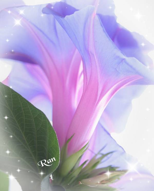 🌈出勤しました🌈