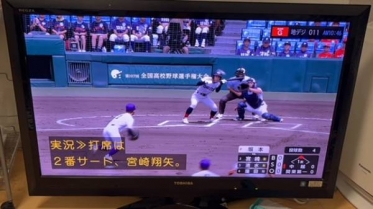 今週の予定です🕊️