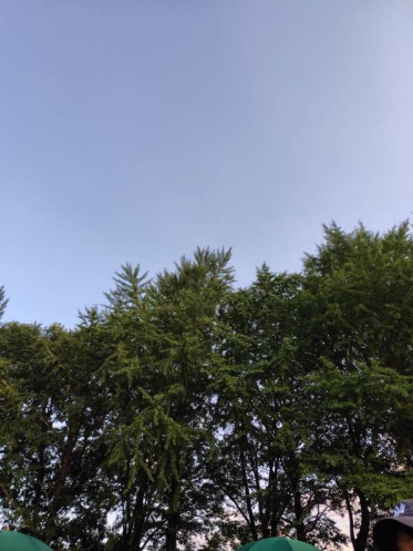 台風一過