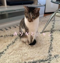本日ありがとうございます☺️