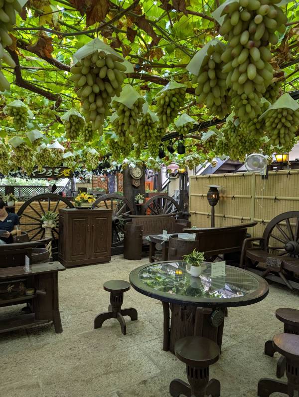 こんばんは(*´∀｀*)