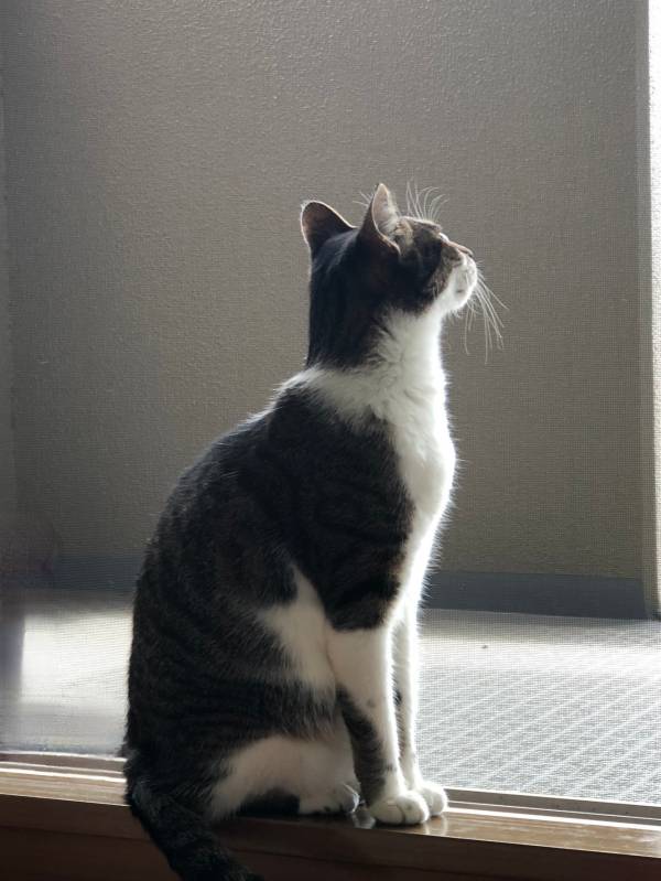 おはようございます😃