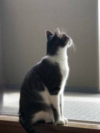 おはようございます😃
