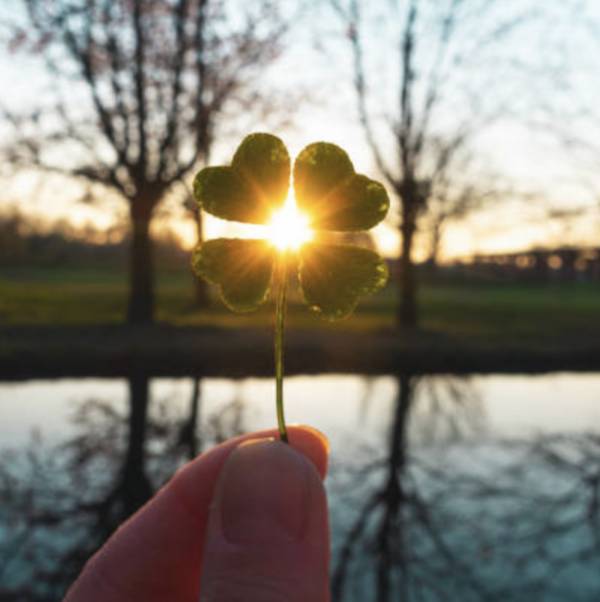 おはようございます☀