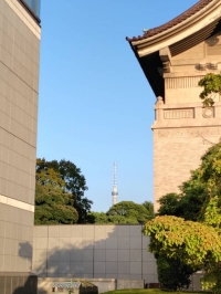 ともみ