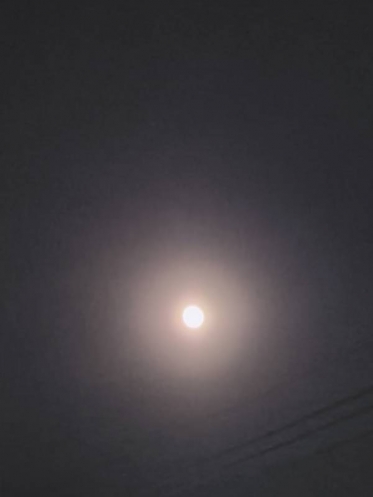 昨日が満月🌕️