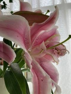 〜追加出勤のおしらせ〜🎃