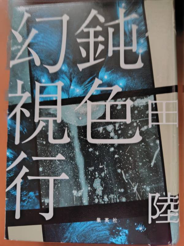 小説「鈍色幻視行」