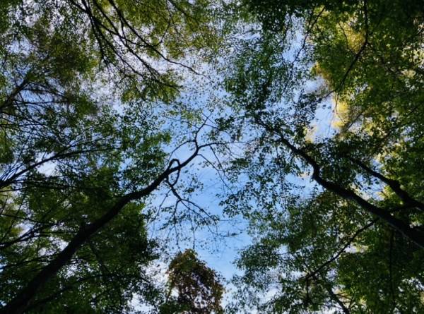 三度目の正直!?