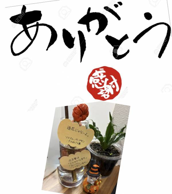 ありがとうございます😊