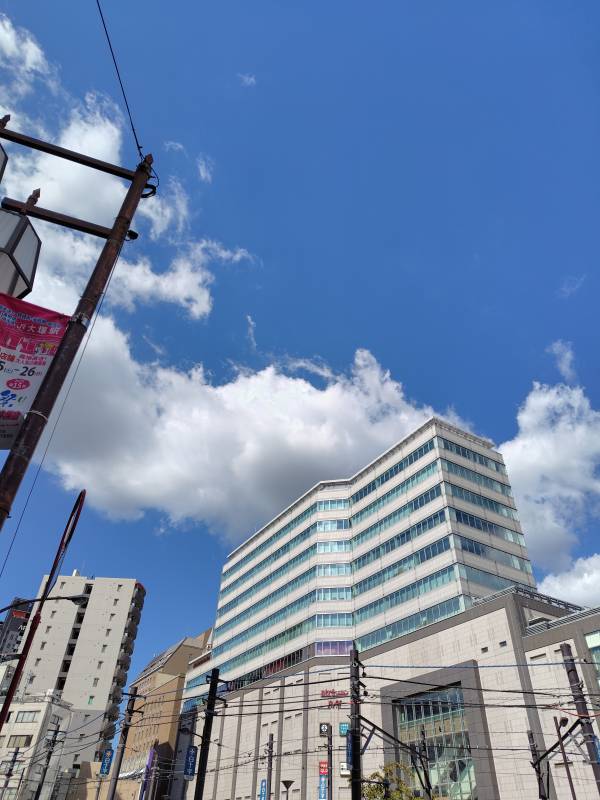 久しぶりに青空