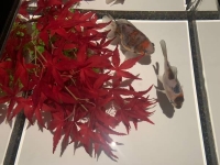 10月の出勤