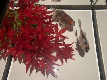 10月の出勤