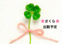さくら🌸今週のシフトです