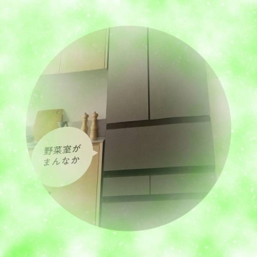 冷蔵庫選びの決め手は・・・野菜室が真ん中