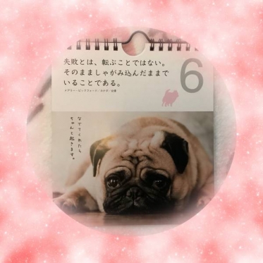 久々開いた名言カレンダー（ワンちゃんバージョン）