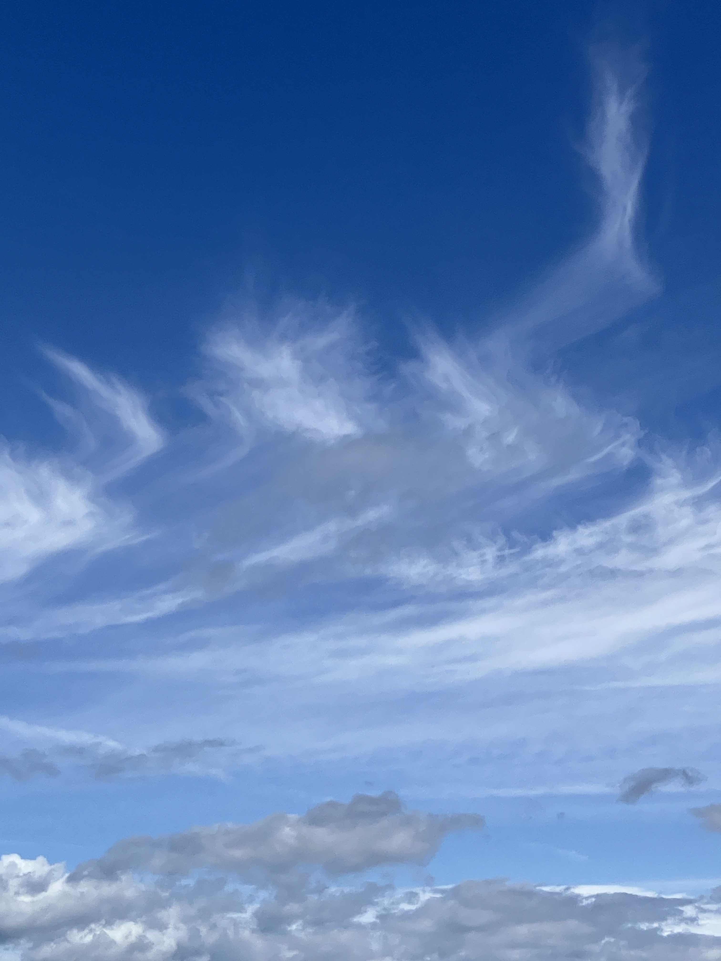 💞こころ💞より御礼④11/5(水)ご来店のお客様へ