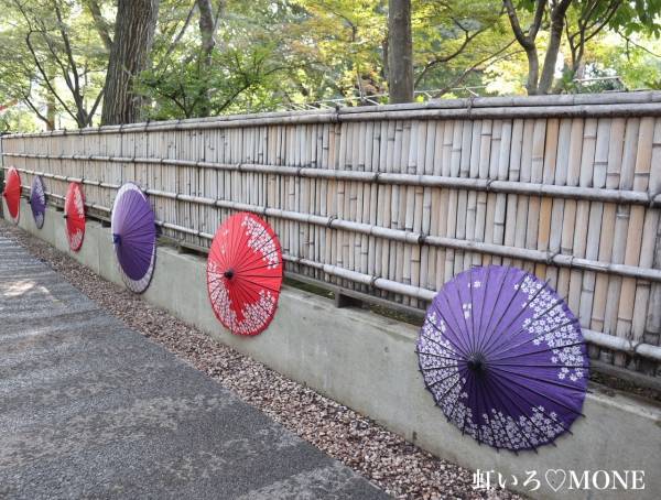 今週のお礼♡来週は...