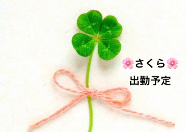 さくら🌸今週のシフト