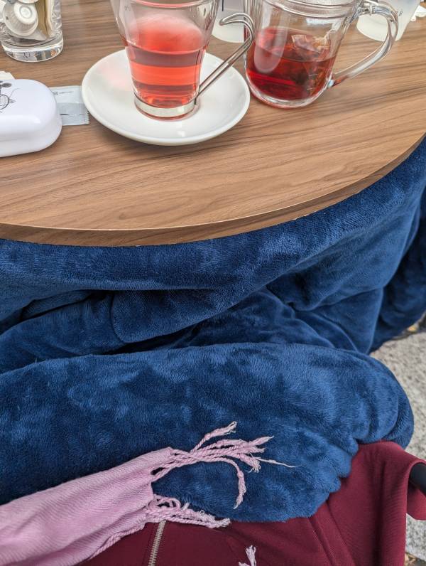 こんばんは(*´∀｀*)