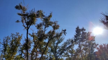 出勤しました😊