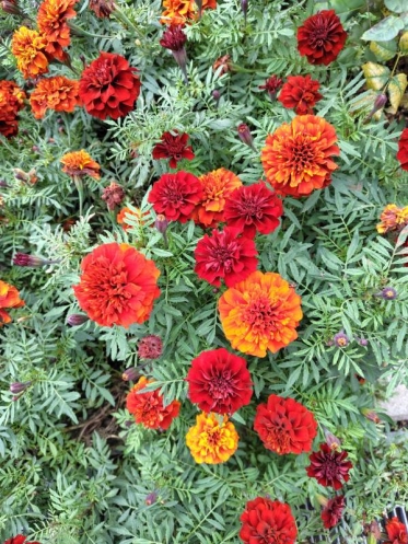 寒くなってきましたね