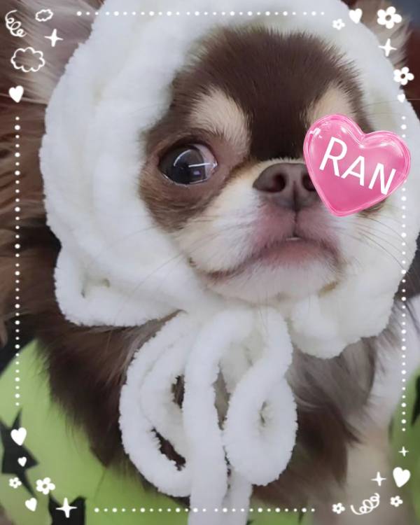 🌈 出勤しました 🌈