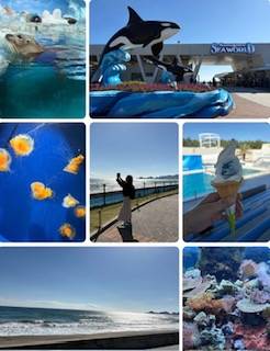 11月、21日と28日出勤予定です