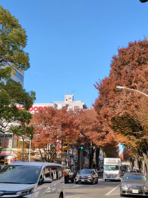 紅葉🍁してきましたね