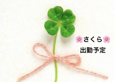 さくら🌸出勤予定です✨