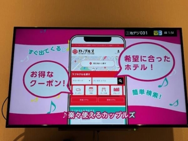 こんばんは🕊️