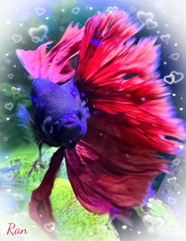 🌈出勤しました🌈